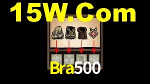 Programa VIP Bra500
