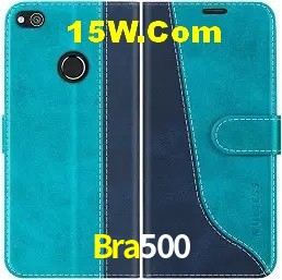 Login Seguro Bra500