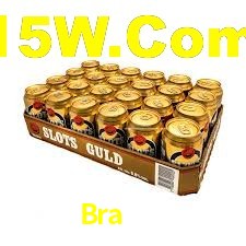 Bra500 App Interface